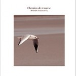 100205_Azalais_Chemins-de-traverse