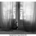141219_Beatrix_Tanguy-Richard_2