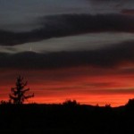 soir