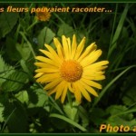 Clement_page94
