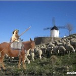annielamarmotte122043608417_art