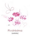 100707_ff_pivoinissima.jpg