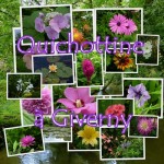 Montage de Quichottine, les Fleurs de Giverny