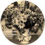 130716_Fadosi_tirelire-marguerite