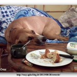 Une vie de chien